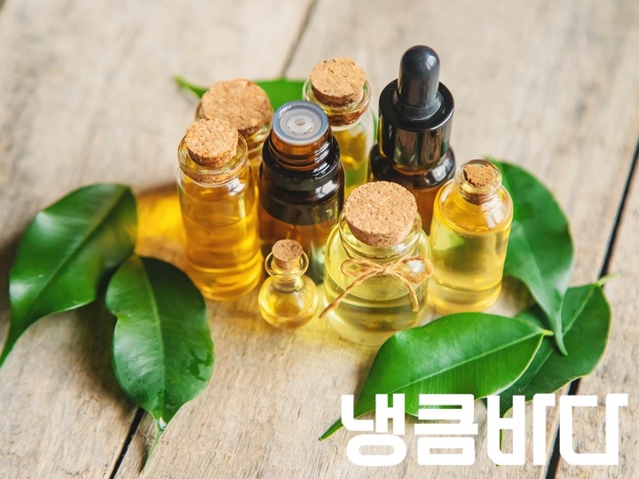 사본 -tea-tree-essential-oil-in-a-small-bottle-selective-focus.jpg