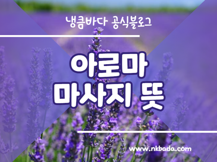 제목을 입력해주세요_-014.png