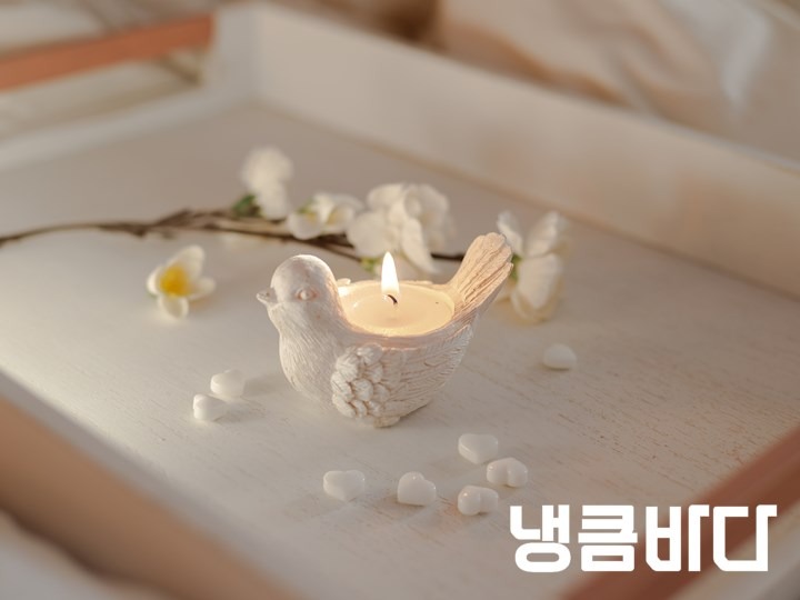 a-white-tray-with-a-romantic-white-bird-candlestick-white-heart-shaped-sweets.jpg